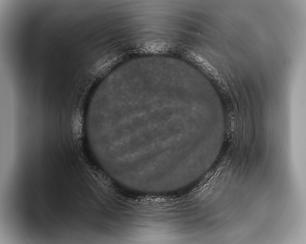 X0000093160640200710171210