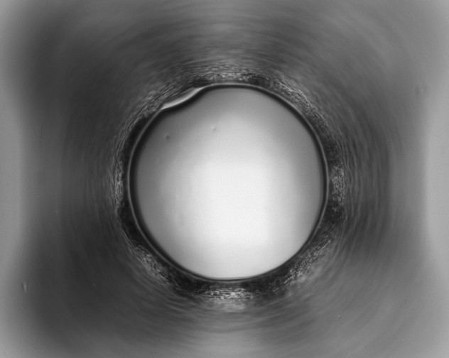 X0000093160642200710171210