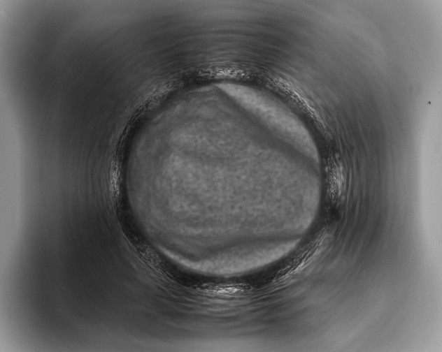 X0000093160643200710171210