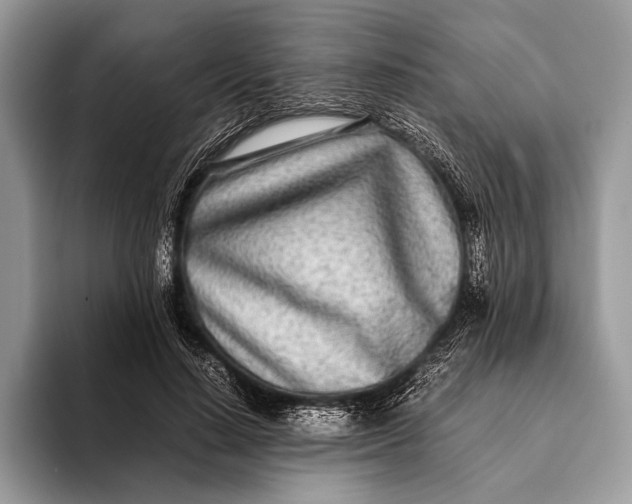 X0000093160644200710171210