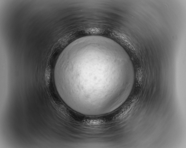 X0000093160645200710171210