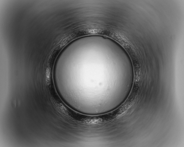 X0000093160646200710171210