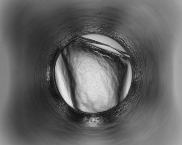 X0000093160647200710171210