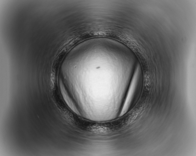 X0000093160648200710171210