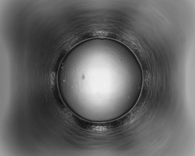 X0000093160649200710171210