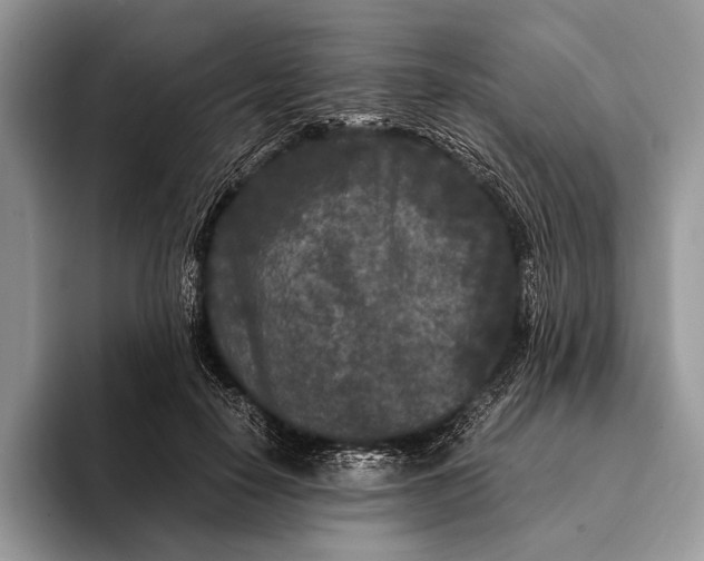 X0000093160650200710171210