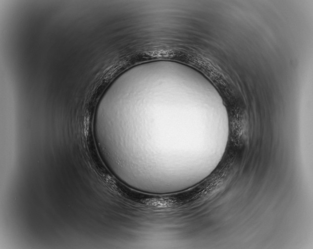 X0000093160652200710171210