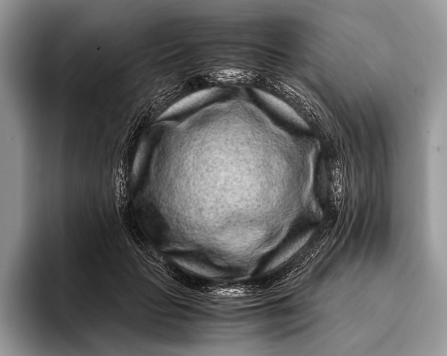 X0000093160653200710171210
