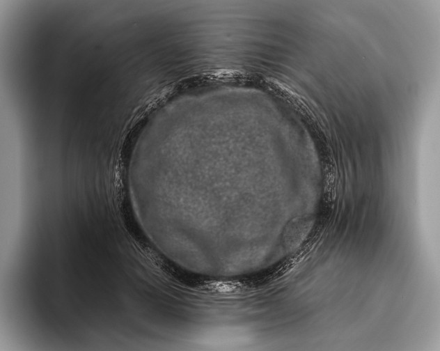 X0000093160654200710171210