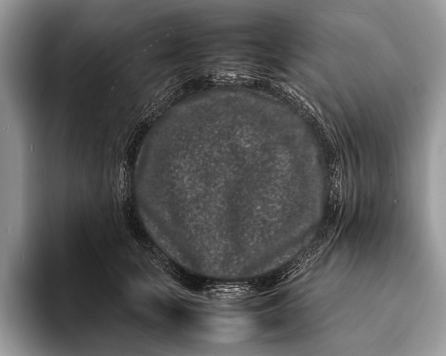 X0000093160659200710171210
