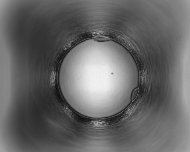 X0000093160660200710171210
