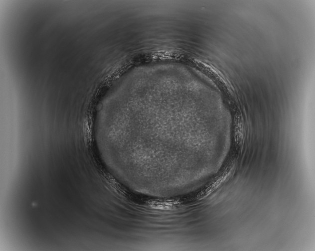 X0000093160661200710171210