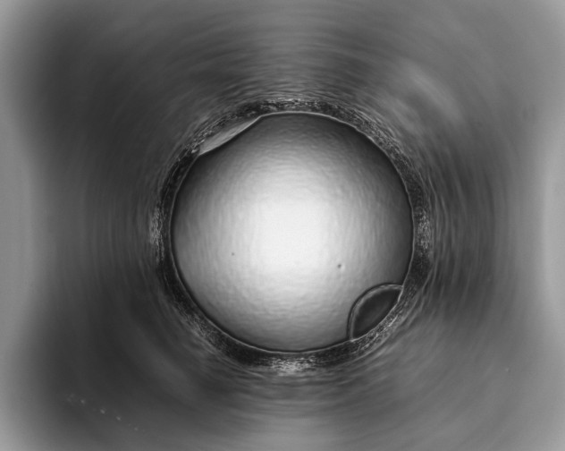 X0000093160662200710171210
