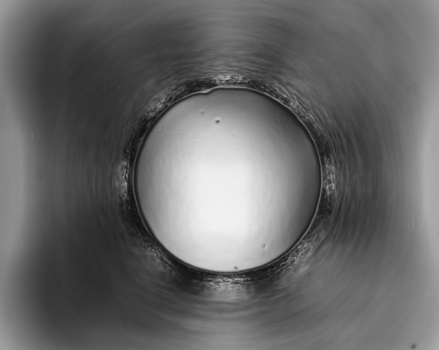 X0000093160664200710171210