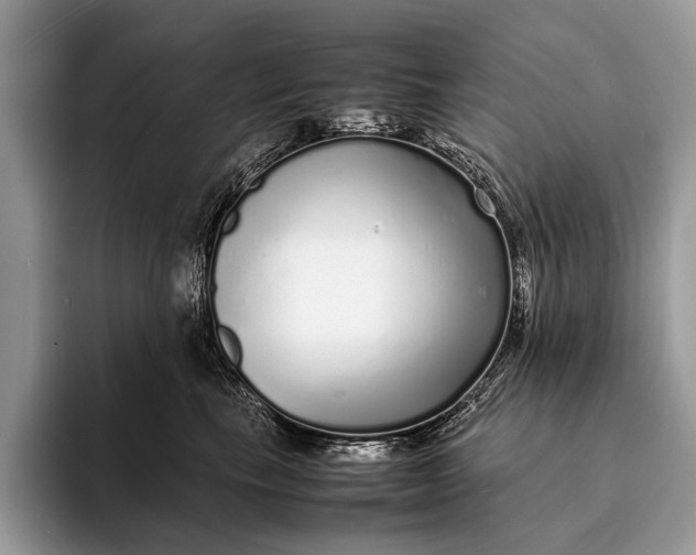X0000093160665200710171210