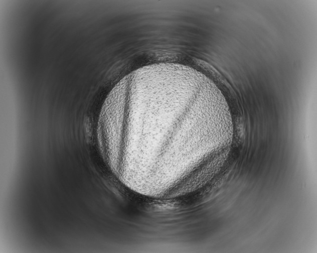 X0000093160667200710171210
