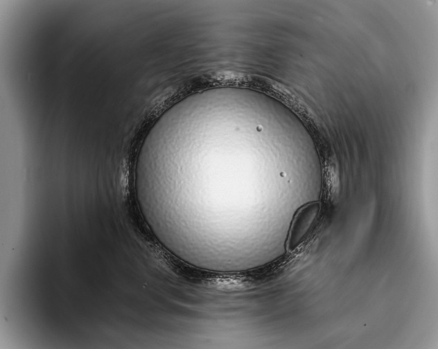 X0000093160668200710171211
