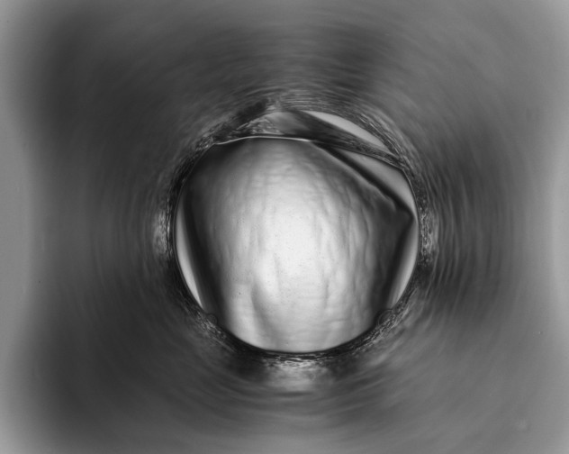 X0000093160669200710171211