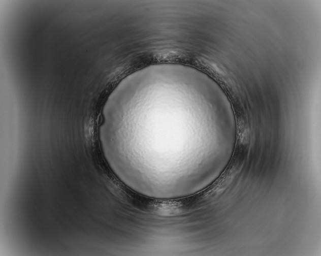 X0000093160670200710171211