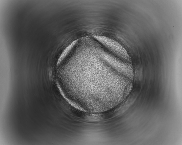 X0000093160671200710171211