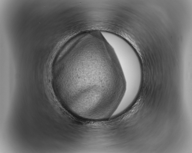 X0000093160673200710171210