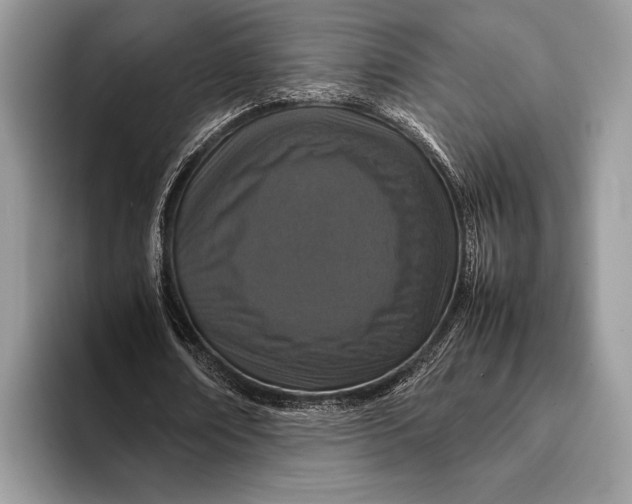 X0000093160674200710171210