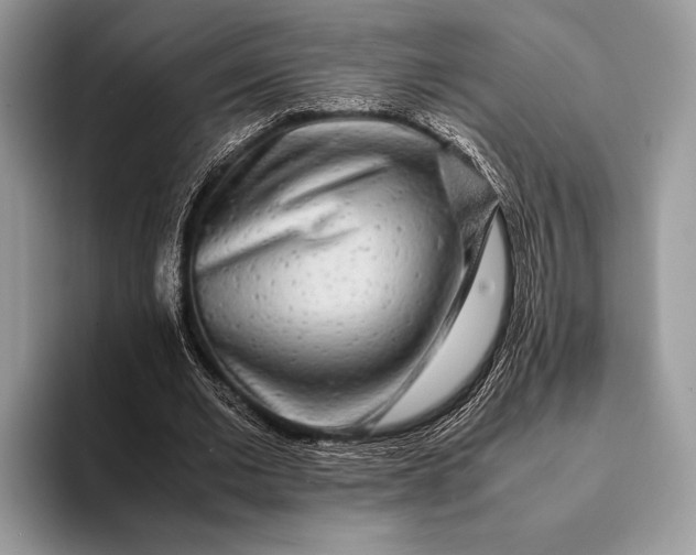 X0000093160677200710171210