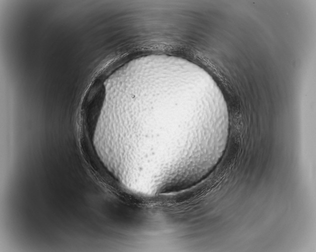 X0000093160679200710171210