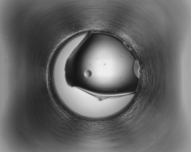 X0000093160680200710171210