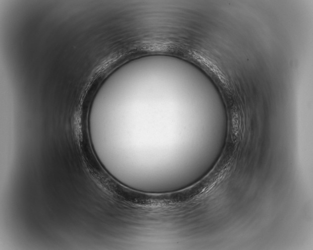 X0000093160682200710171210