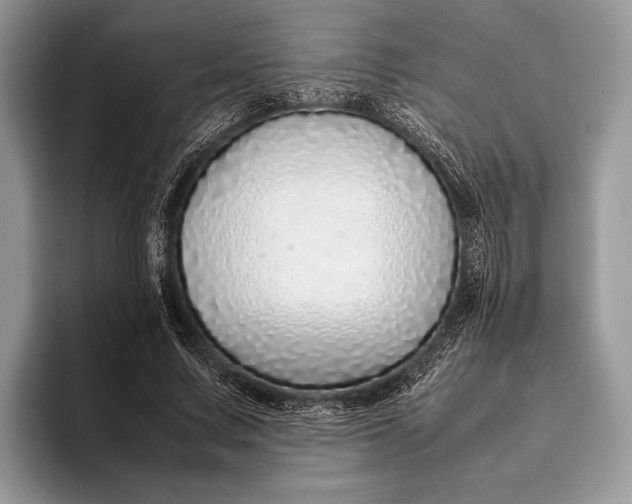 X0000093160683200710171210