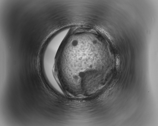 X0000093160684200710171210