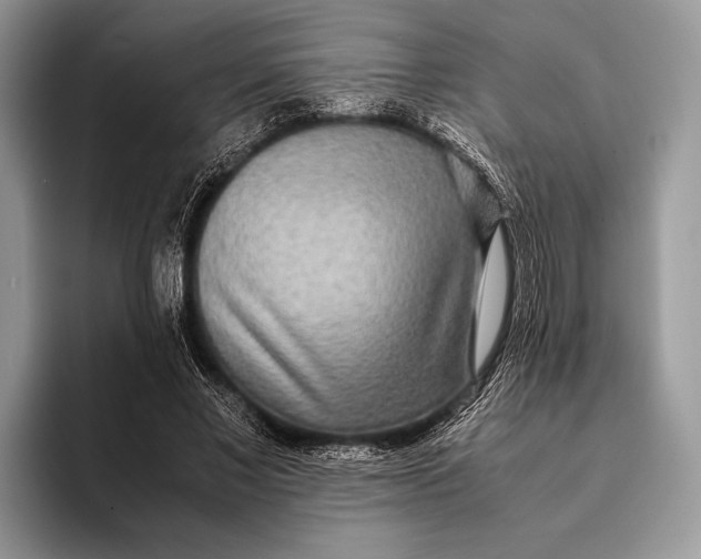 X0000093160685200710171210
