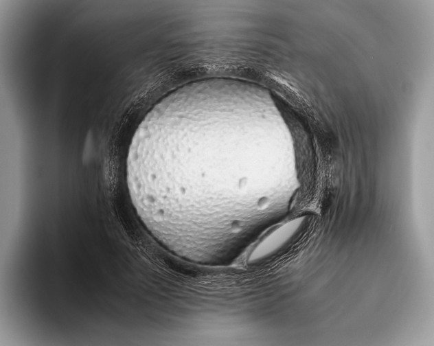 X0000093160691200710171210