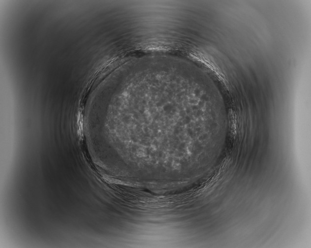 X0000093160692200710171210