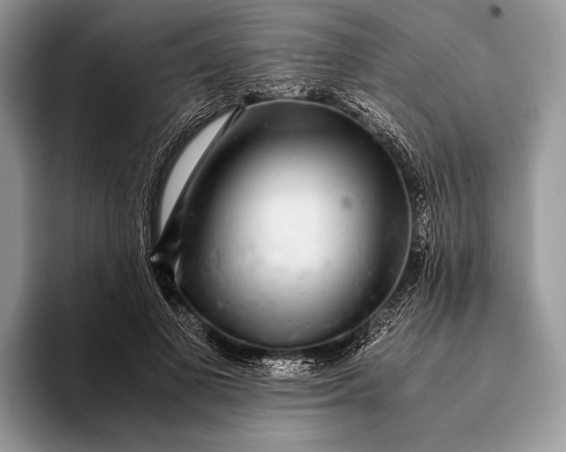 X0000093160693200710171210