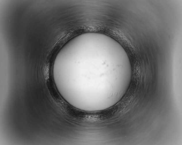 X0000093160694200710171210