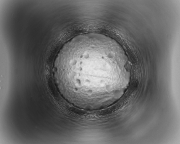 X0000093160695200710171210