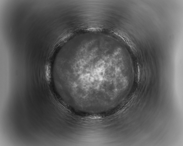 X0000093160696200710171210