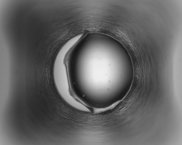 X0000093160697200710171210