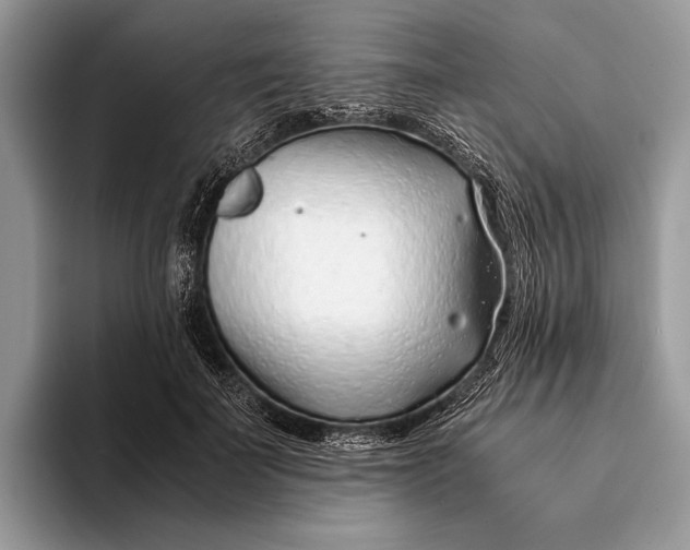 X0000093160699200710171210