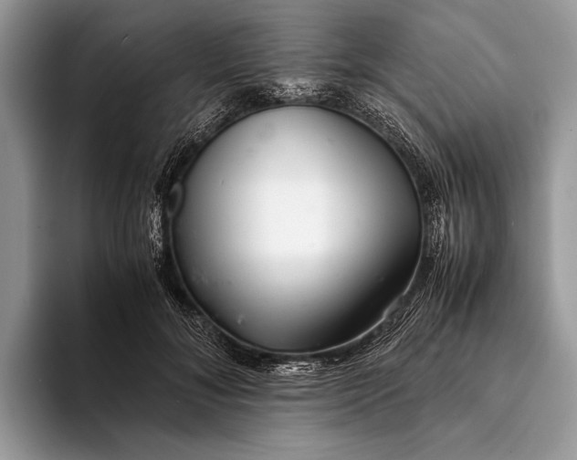 X0000093160700200710171210