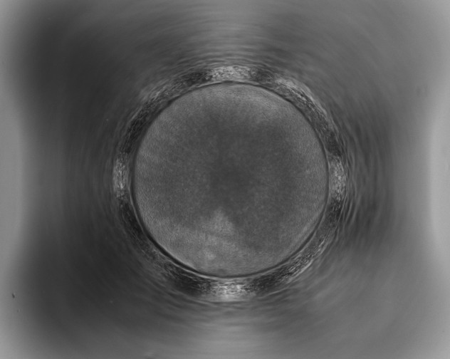 X0000093160701200710171210