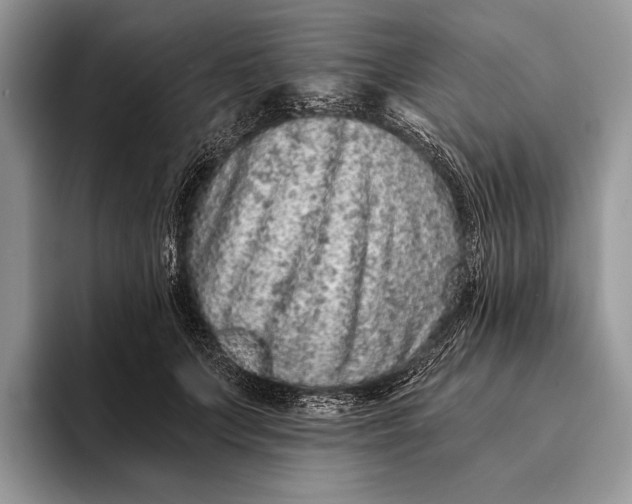 X0000093160703200710171210