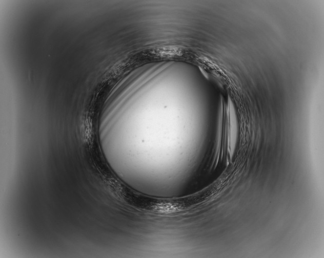 X0000093160704200710171210
