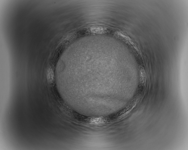 X0000093160705200710171210