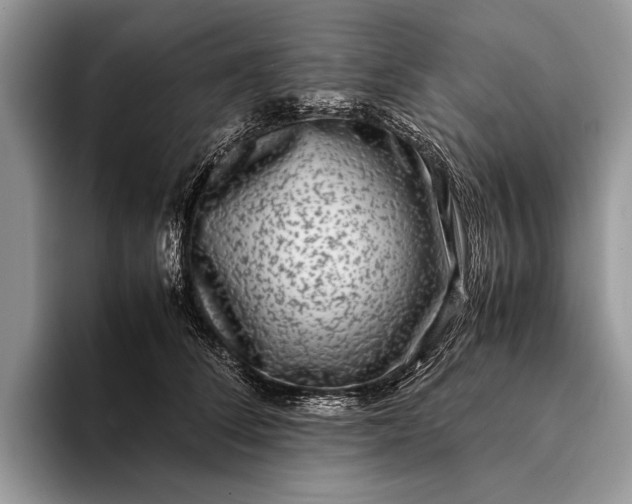 X0000093160708200710171210