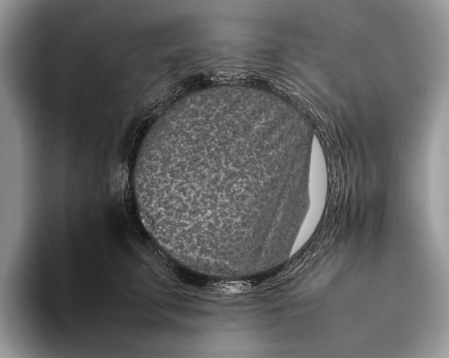 X0000093160711200710171210