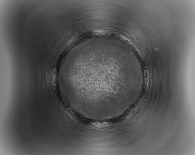 X0000093160712200710171210