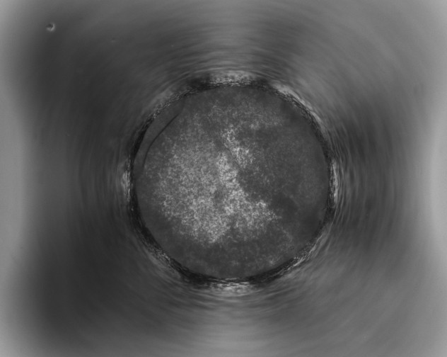 X0000093160716200710171209